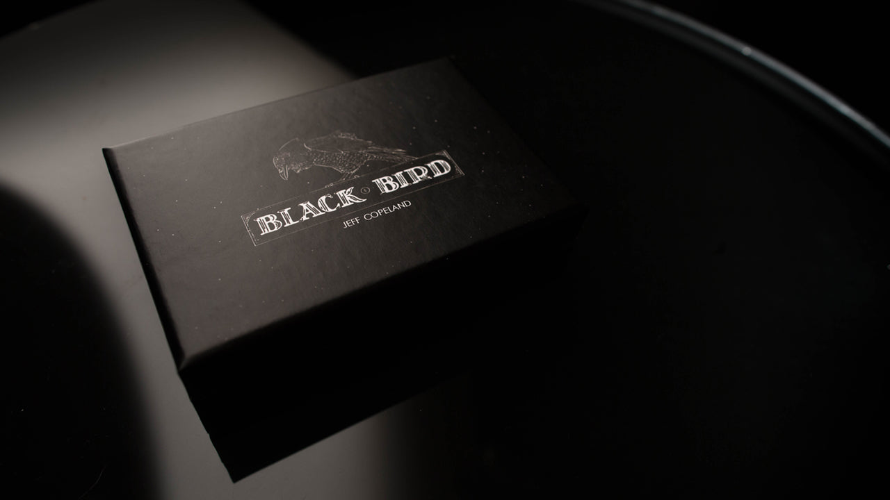 Black Bird Box