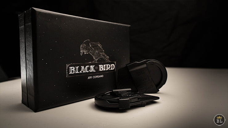 Blackbird