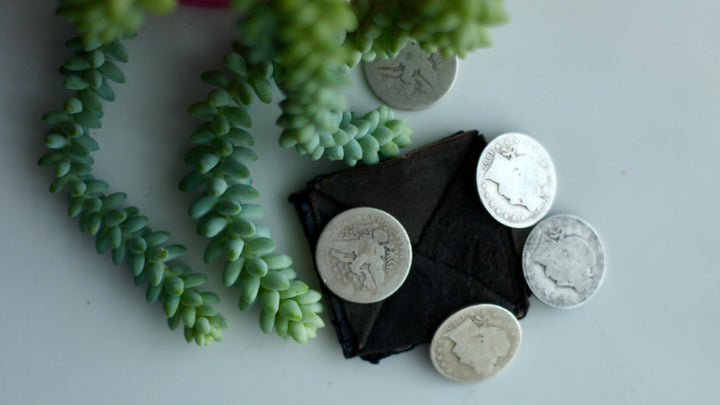 Half Dollar Set