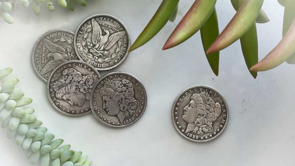 Silver Dollar Set