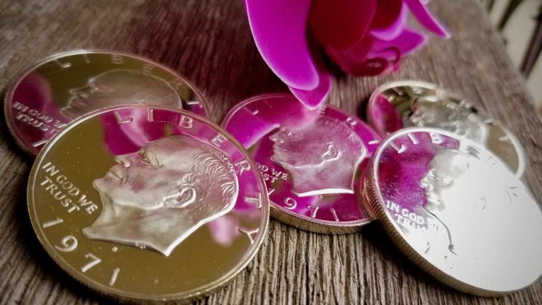 Silver Dollar Set