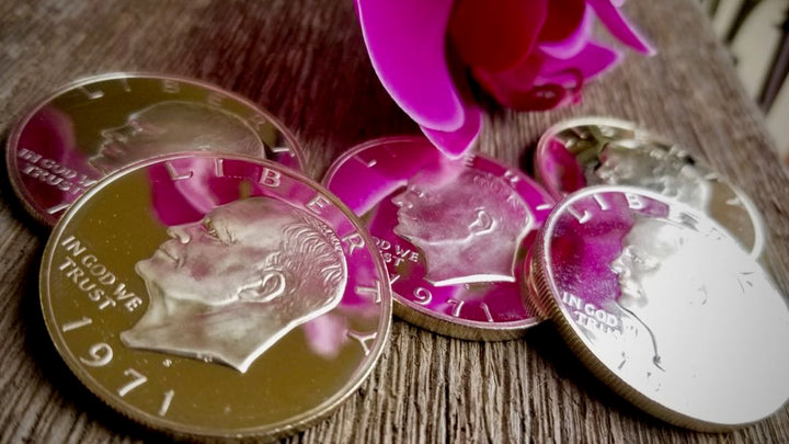 Silver Dollar Set