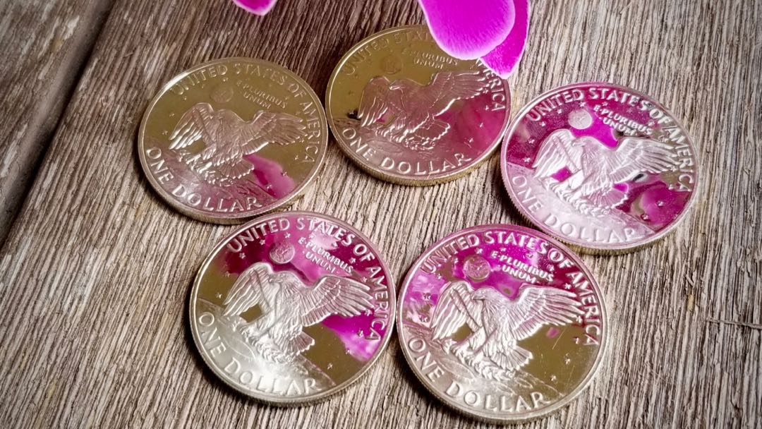 Silver Dollar Set