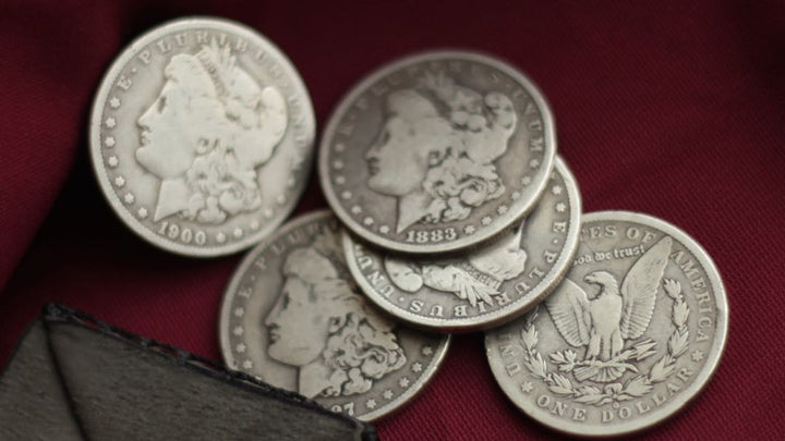Silver Dollar Set