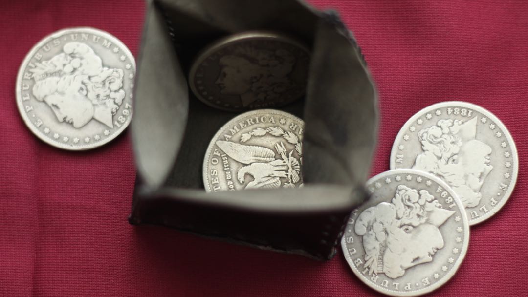 Silver Dollar Set