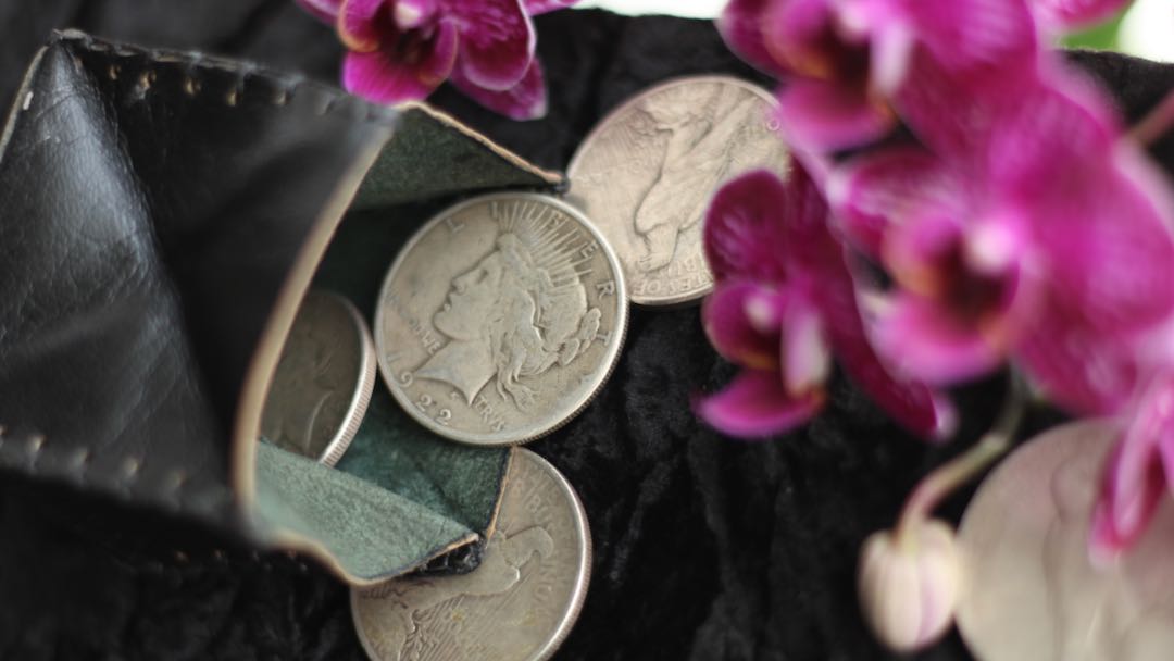 Silver Dollar Set