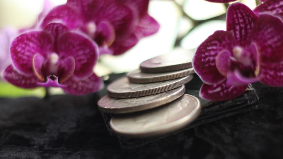 Silver Dollar Set