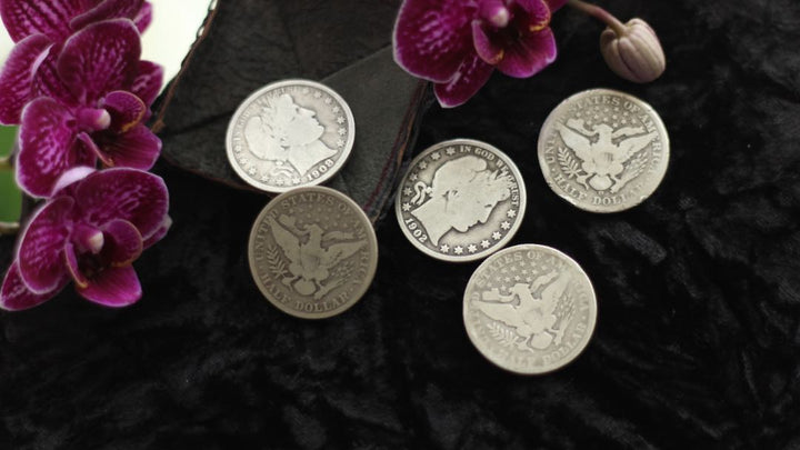 Half Dollar Set
