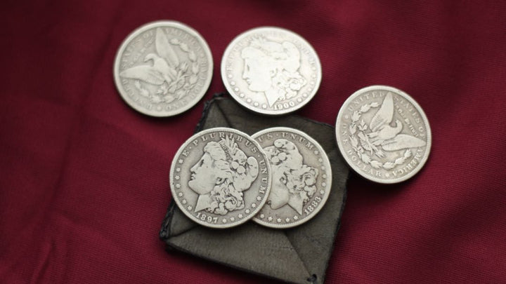 Silver Dollar Set