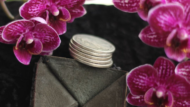 Half Dollar Set
