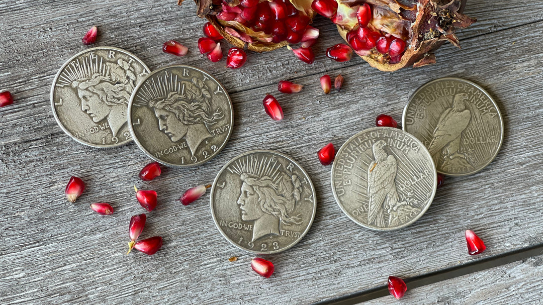 Silver Dollar Set