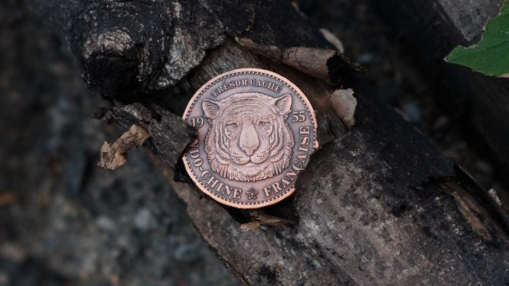 Tiger-Tan Coins