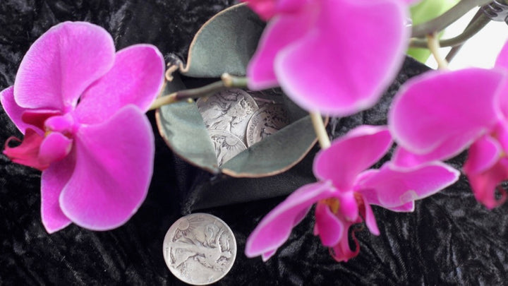 Half Dollar Set