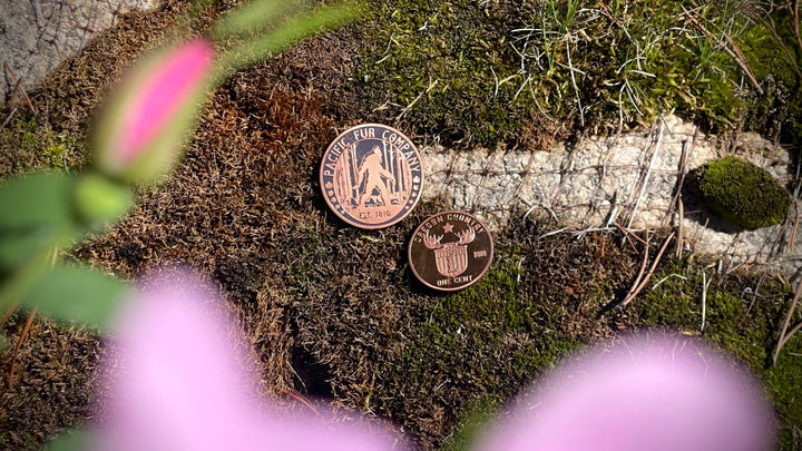 Bigfoot Coins