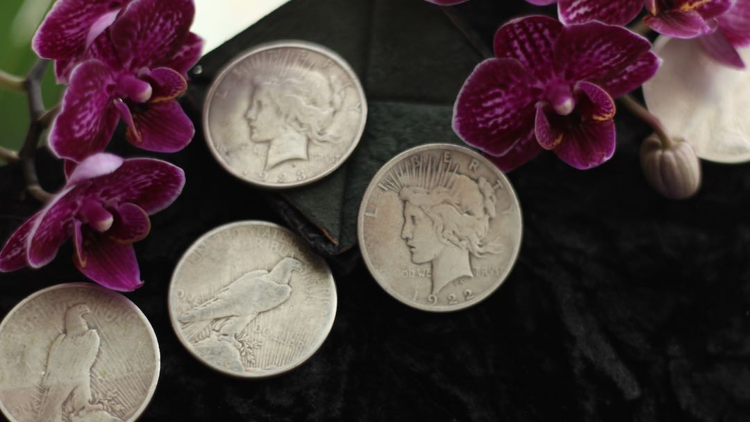 Silver Dollar Set