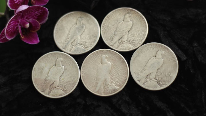 Silver Dollar Set