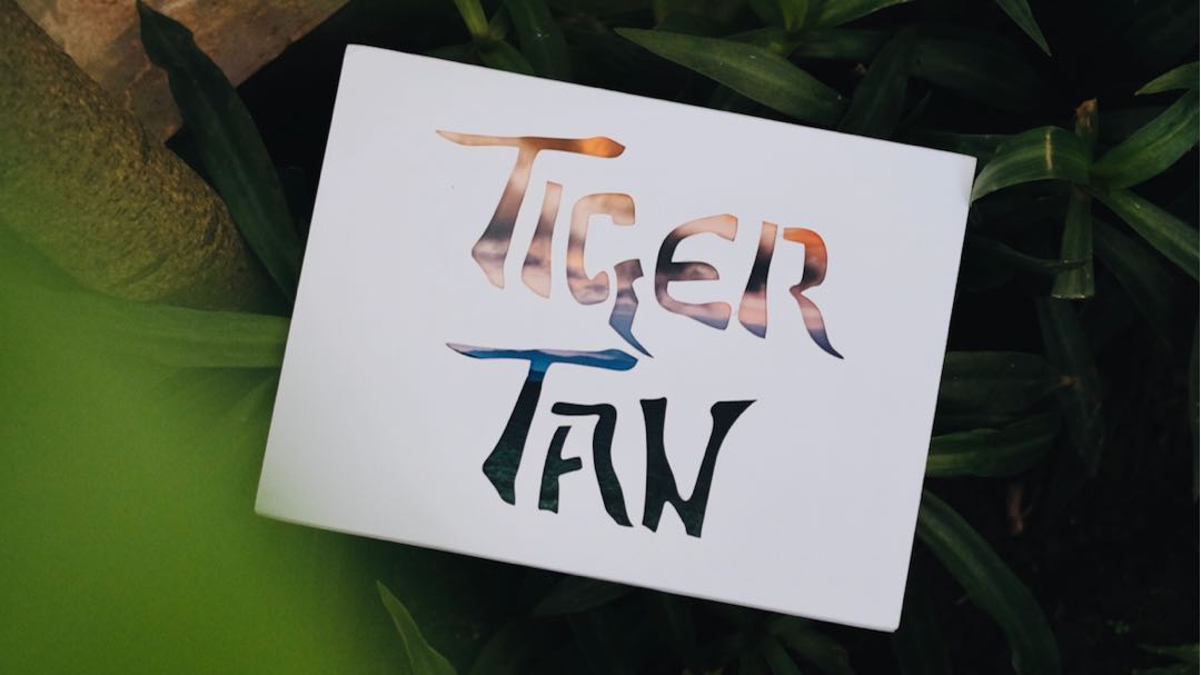 Tiger-Tan Coins
